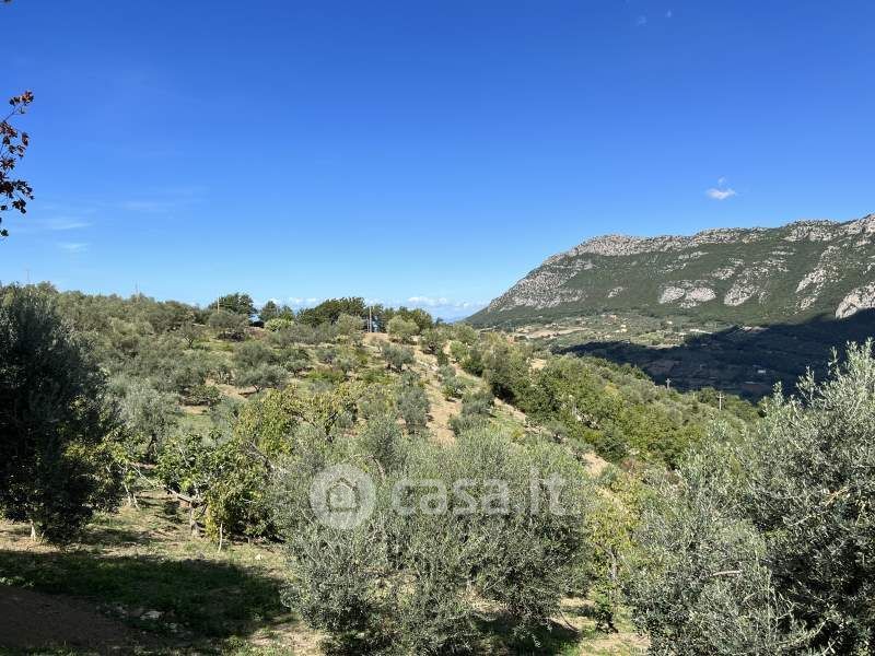 Foto 41