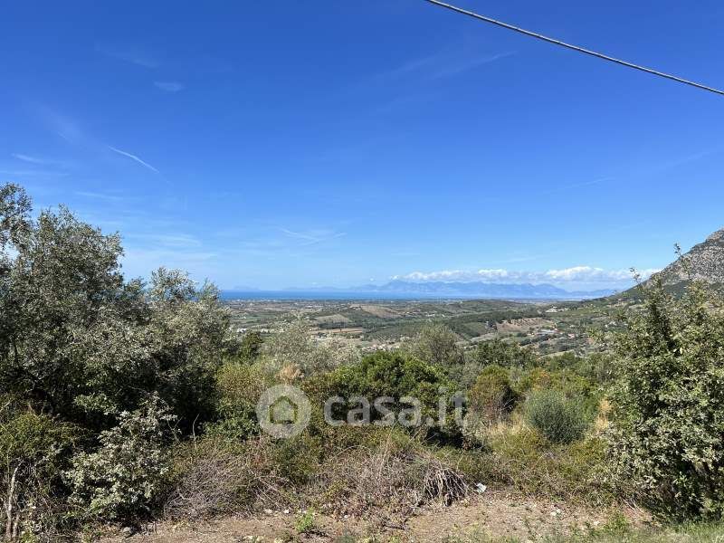 Foto 49