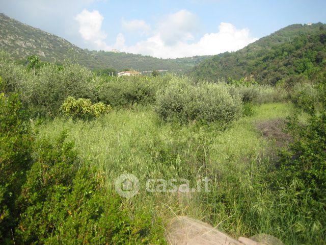 TERRENO EDIFICABILE A GIUNGANO