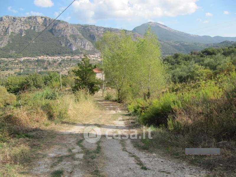 Foto 17