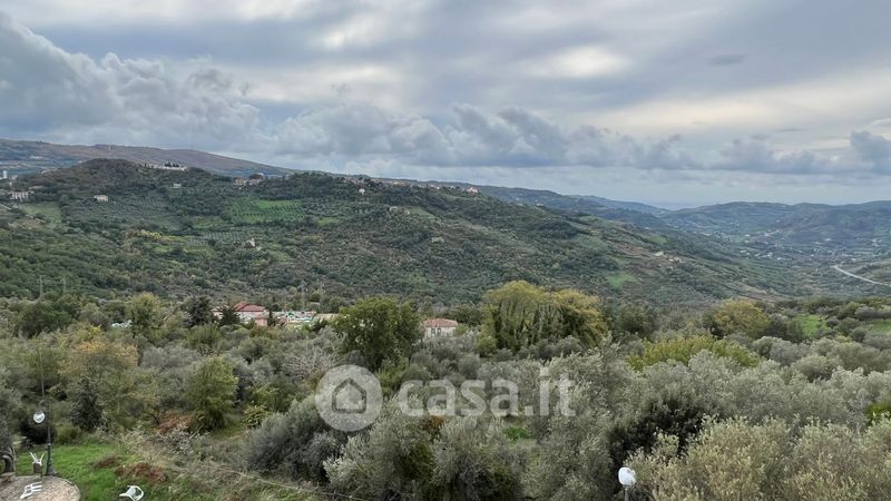 Foto 30